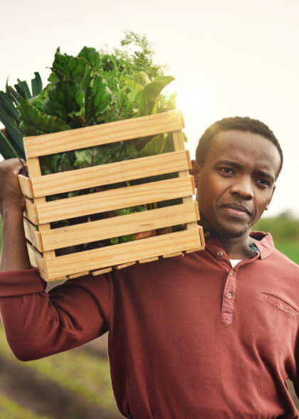 Black man, farmer and box of fresh produce in nature, sustainable nutrition and crate of organic vegetables. Male person, farm and outdoor for harvest in Argentina, agriculture and countryside crops.